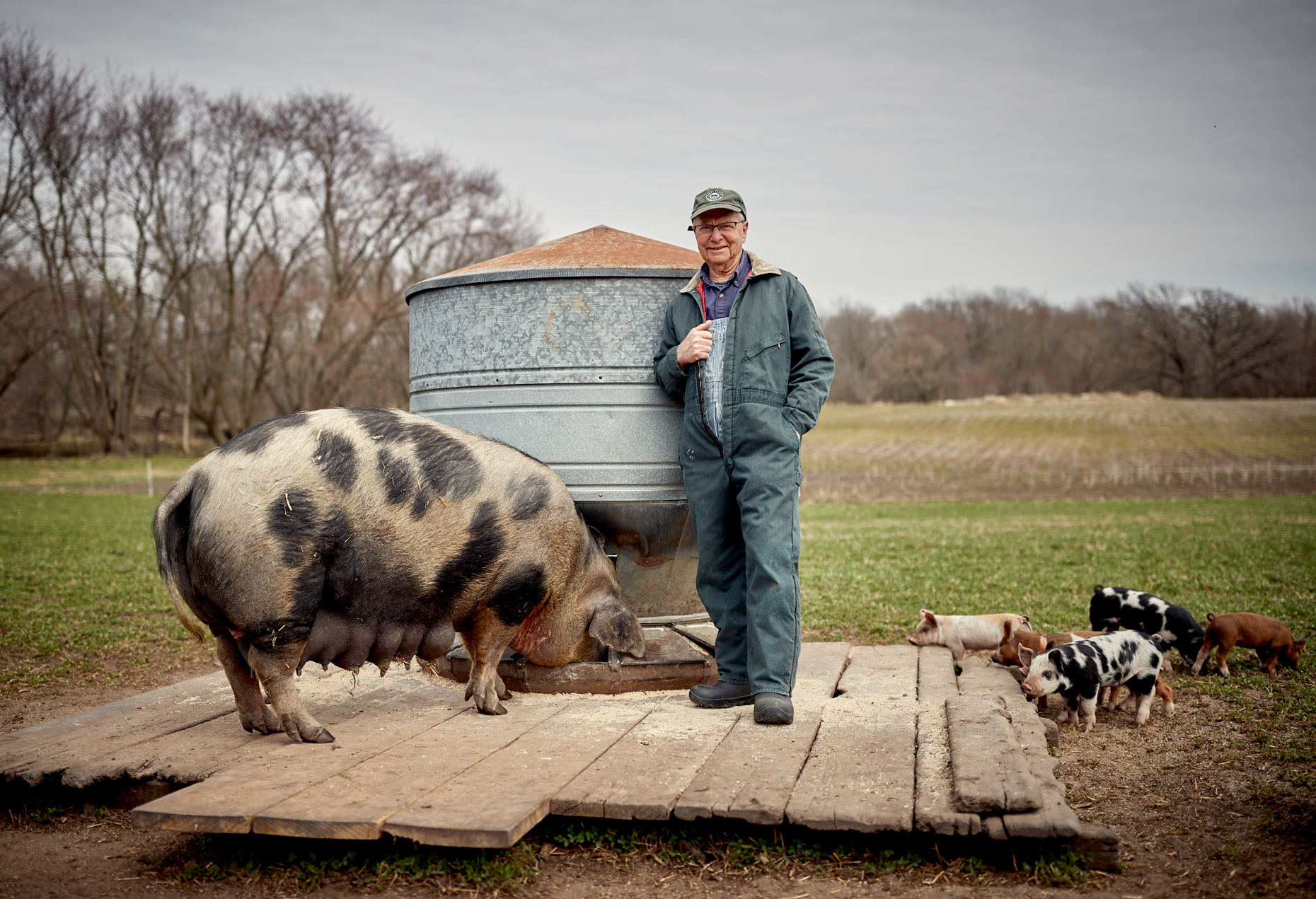 Paul Willis  Niman Ranch with hogs | Saverio Truglia
