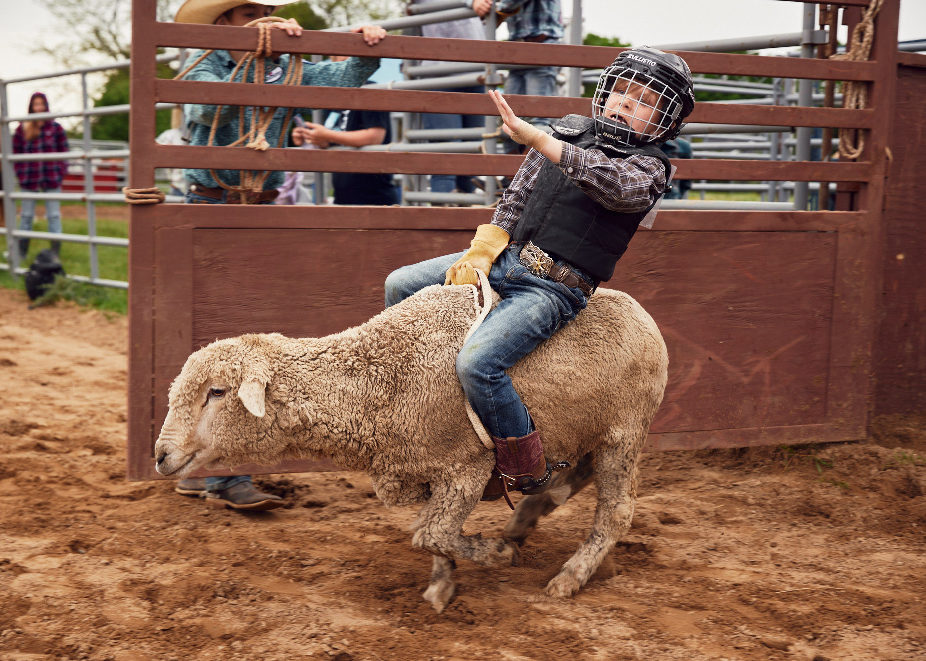 Fearfl boy riding a sheep at rodeo | lifestyle photography by Saverio Truglia