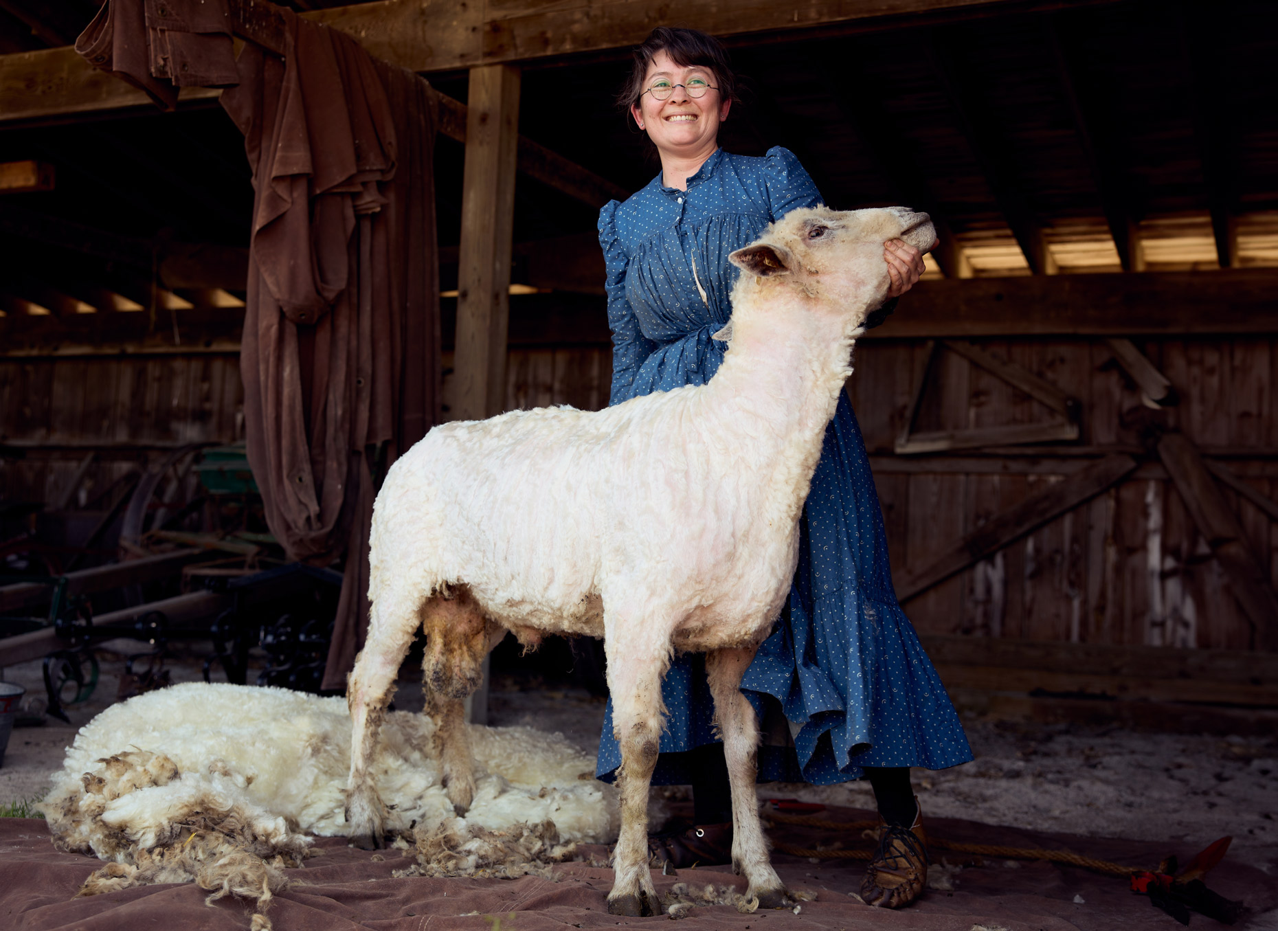 Sheep shearing | Lifestyle Portrait by Saverio Truglia